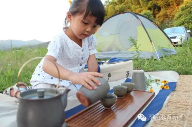 小女孩泡茶的图片